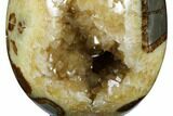 Calcite Crystal Filled Septarian Geode Egg - Utah #180987-1